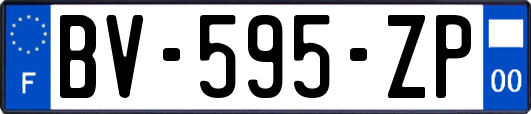 BV-595-ZP