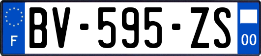 BV-595-ZS