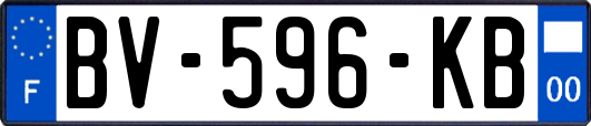 BV-596-KB