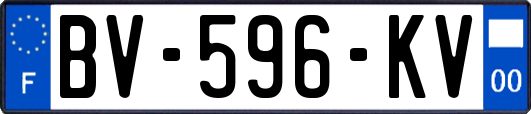 BV-596-KV