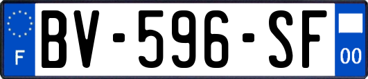 BV-596-SF