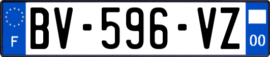 BV-596-VZ