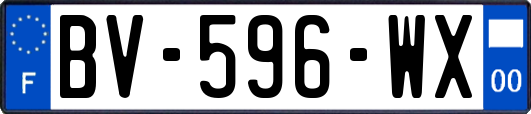 BV-596-WX