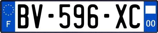 BV-596-XC