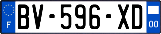 BV-596-XD