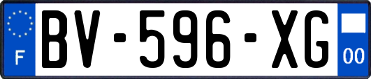 BV-596-XG