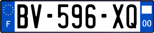 BV-596-XQ