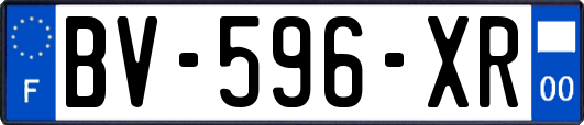 BV-596-XR