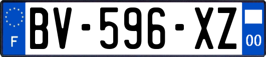 BV-596-XZ