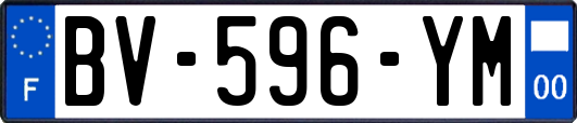 BV-596-YM