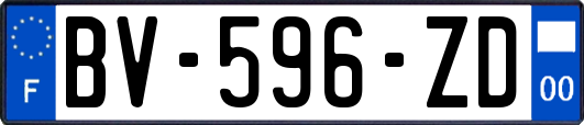 BV-596-ZD