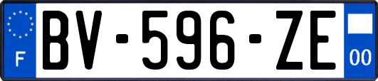 BV-596-ZE