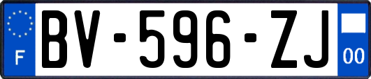 BV-596-ZJ