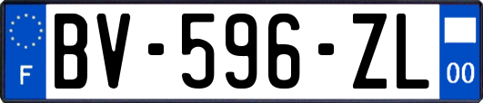 BV-596-ZL