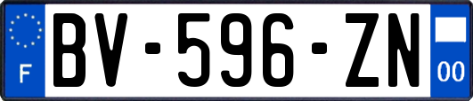 BV-596-ZN