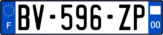 BV-596-ZP