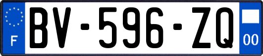 BV-596-ZQ