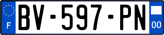 BV-597-PN