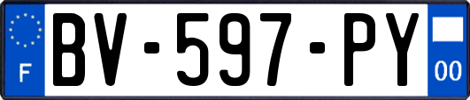 BV-597-PY