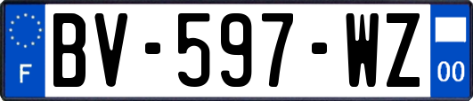 BV-597-WZ