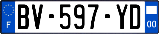 BV-597-YD