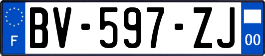 BV-597-ZJ