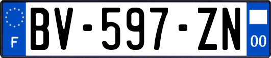 BV-597-ZN