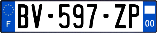 BV-597-ZP