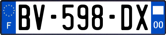 BV-598-DX