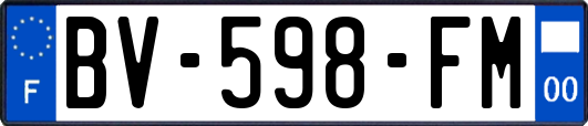BV-598-FM