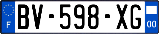 BV-598-XG