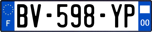 BV-598-YP