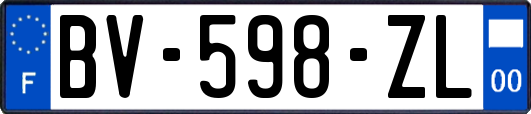 BV-598-ZL