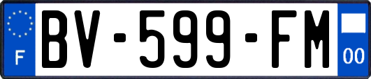 BV-599-FM