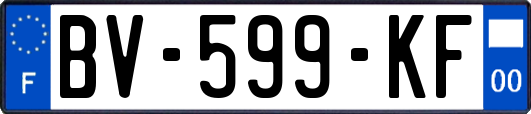 BV-599-KF