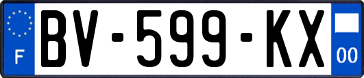 BV-599-KX
