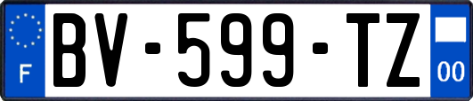 BV-599-TZ