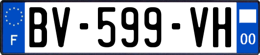 BV-599-VH