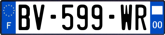 BV-599-WR