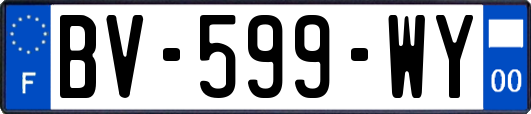 BV-599-WY