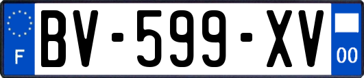 BV-599-XV