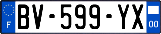 BV-599-YX