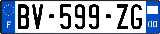 BV-599-ZG