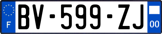 BV-599-ZJ