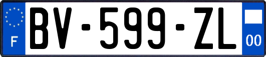 BV-599-ZL