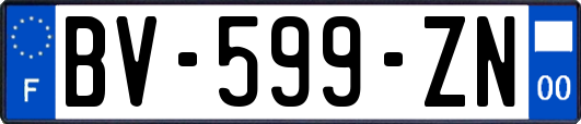 BV-599-ZN