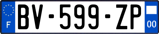 BV-599-ZP