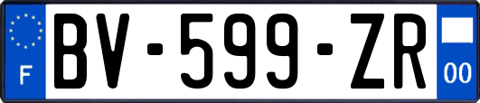 BV-599-ZR