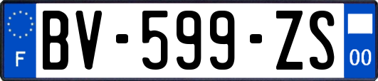 BV-599-ZS