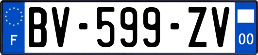 BV-599-ZV